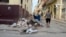 Denuncian crisis de recogida de basura en Cuba