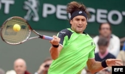 David Ferrer.