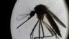 La situación del dengue en Cuba tendrá picos en octubre y noviembre