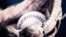 Béisbol, imagen de referencia