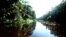 Caño Cayarú, en el Amazonas colombiano.