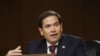 Marco Rubio, senador republicano de origen cubano. (Andrew Harnik / AFP).