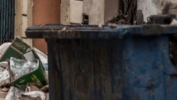 Imagen de referencia