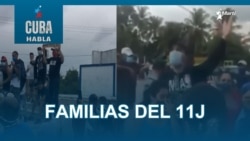 Familias del 11j