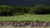 Migrantes caminan por la carretera en una caravana, en un intento de llegar a la frontera con Estados Unidos, en Huixtla, México, 6 de noviembre de 2023. REUTERS/José Torres