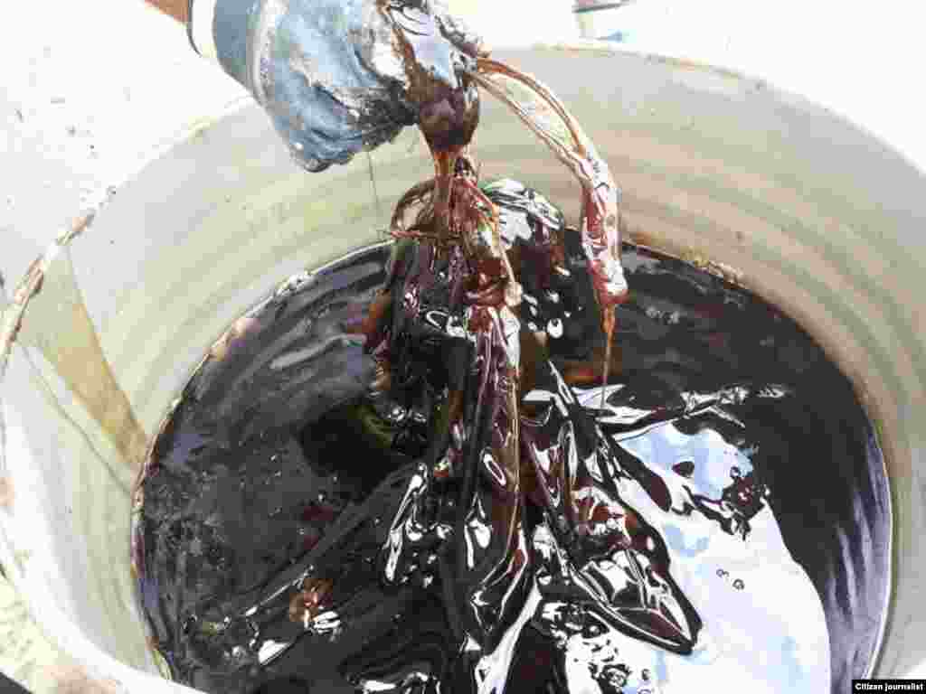 Condiciones en que procesan y acopian las resinas en Vueltabajo&nbsp;