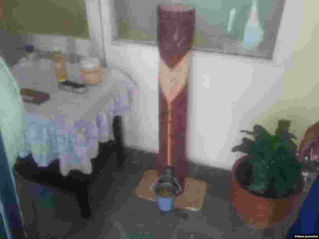 Condiciones en que trabajan los recolectores de ensinas en Pinar del Río.&nbsp;