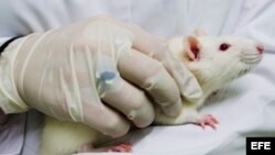 Fotografía de archivo.