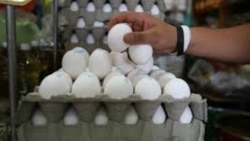 Reporta Cuba huevos venta CUba Foto Cu Web Screenshot