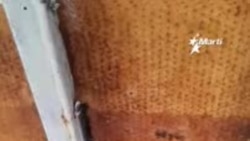 Así es la guagua de una escuela para niños con autismo en Cuba