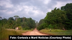 Carretera rural a la salida de Georgetownn, insertándonos en la selva amazónica
