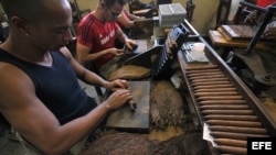 El estado cobra a los turistas hasta $5 por tabaco pero sólo paga a los torcedores que los hacen 13 centavos por cada uno.