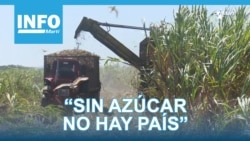 Info Martí | La producción azucarera cubana no levanta