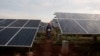 Un trabajador camina entre filas de paneles solares en un parque en las afueras de La Habana, el 24 de septiembre de 2013. (REUTERS/Stringer/Archivo)
