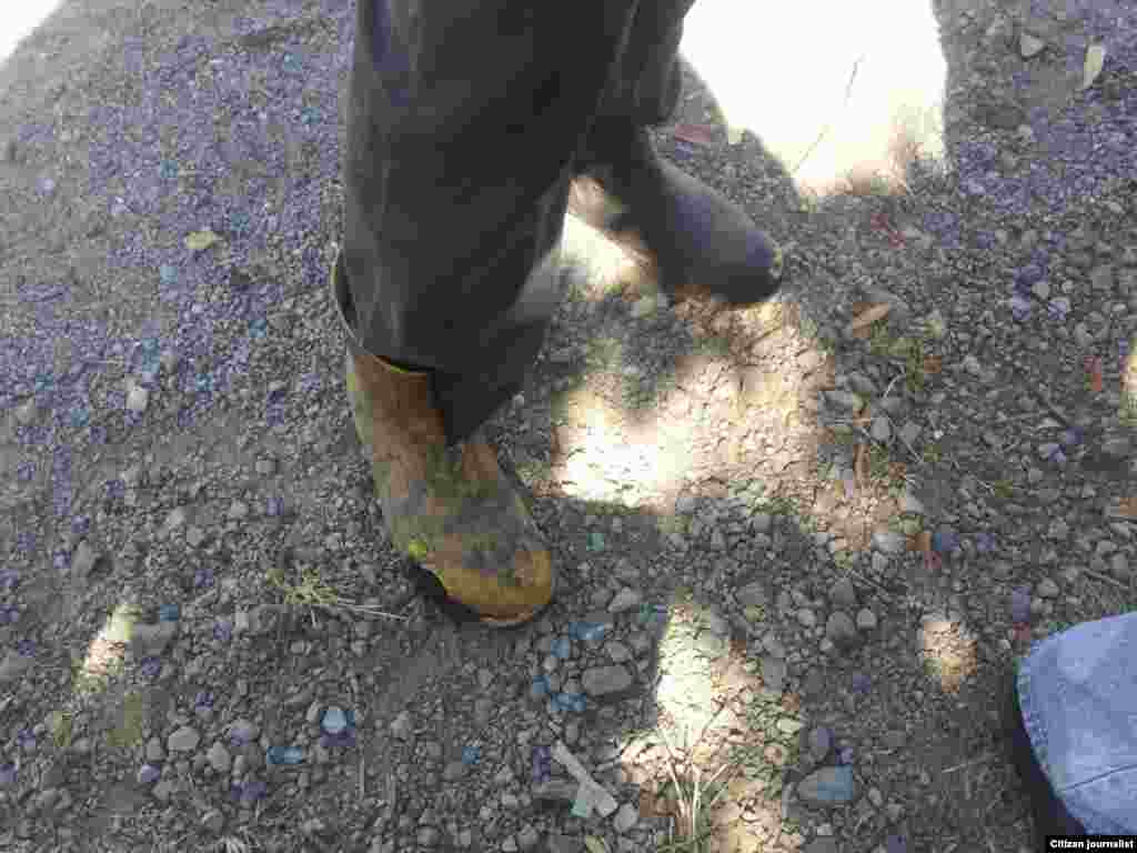 Condiciones en que trabajan los recolectores de ensinas en Pinar del Río.&nbsp;